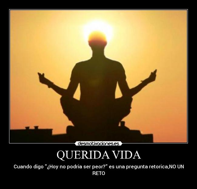 QUERIDA VIDA - 