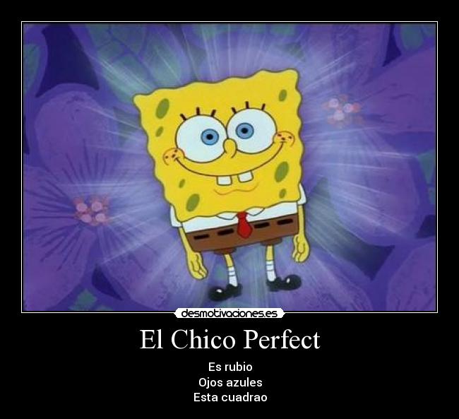 El Chico Perfect -