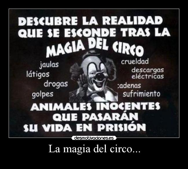 La magia del circo... -