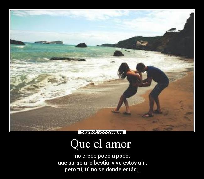 Que el amor - no crece poco a poco,
que surge a lo bestia, y yo estoy ahí,
pero tú, tú no se donde estás...