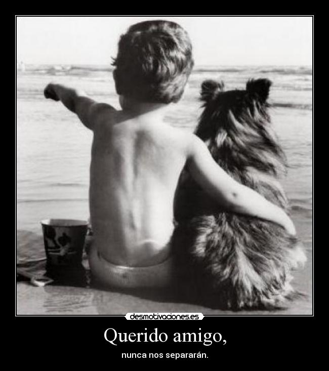 Querido amigo, - 