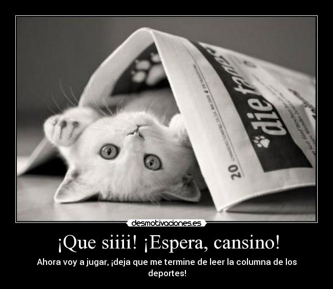 ¡Que siiii! ¡Espera, cansino! - Ahora voy a jugar, ¡deja que me termine de leer la columna de los deportes!