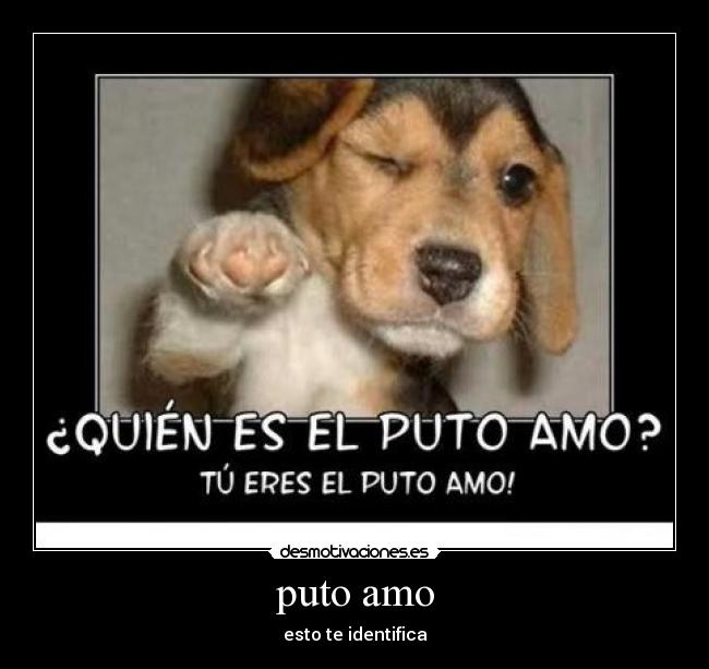 carteles gaizkaggc desmotivaciones