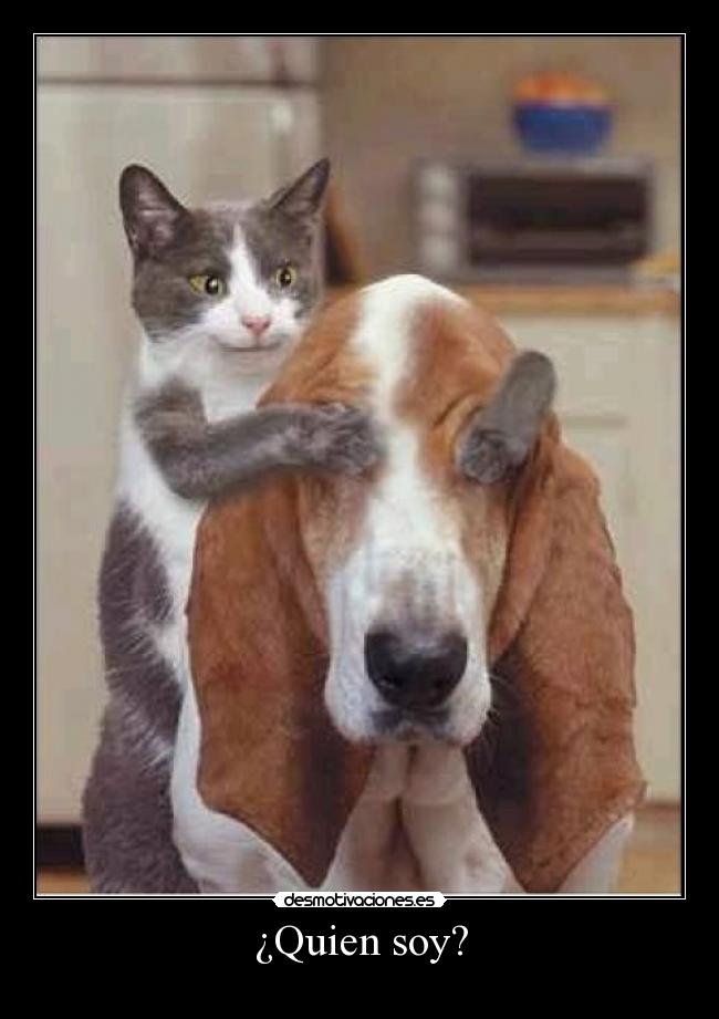 ¿Quien soy? -