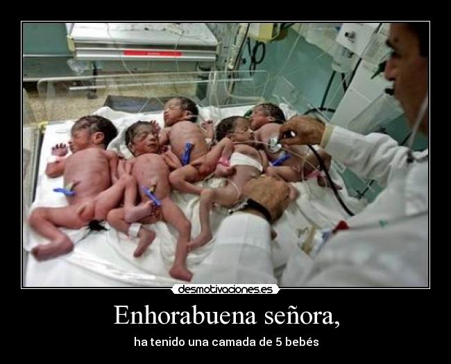 Enhorabuena señora, -