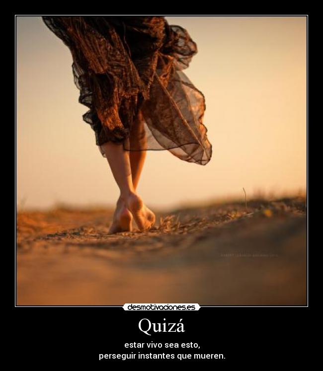 Quizá - 