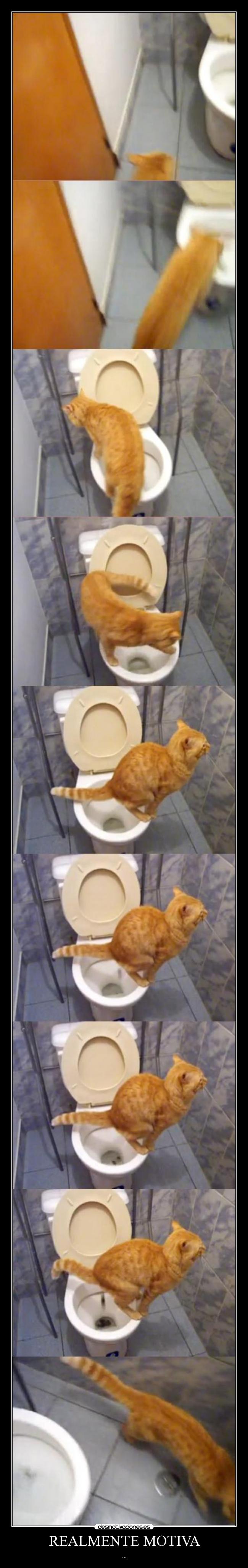 REALMENTE MOTIVA - ...