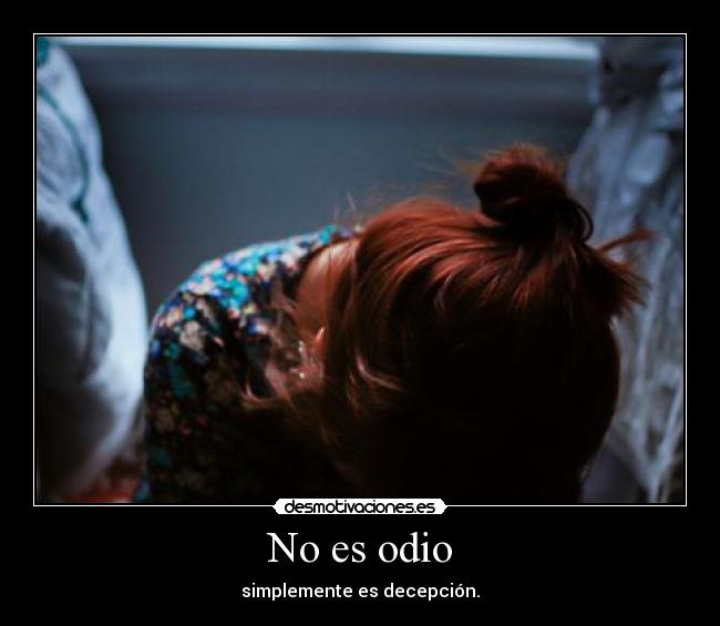 No es odio -
