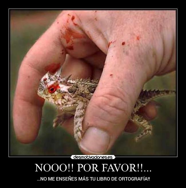 NOOO!! POR FAVOR!!... - ...NO ME ENSEÑES MÁS TU LIBRO DE ORTOGRAFÍA!!