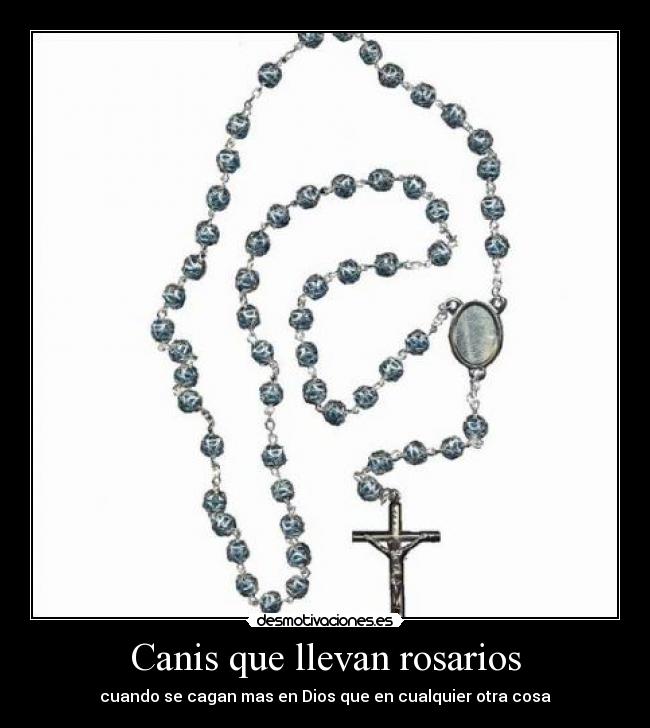 Canis que llevan rosarios - cuando se cagan mas en Dios que en cualquier otra cosa