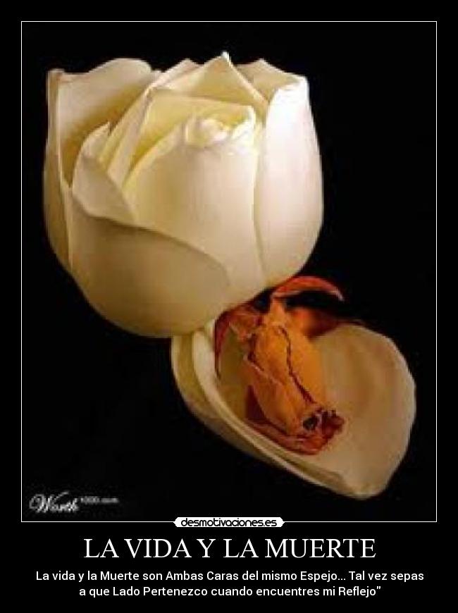 LA VIDA Y LA MUERTE - 
