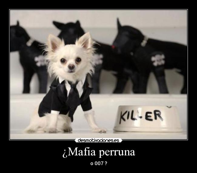 ¿Mafia perruna -