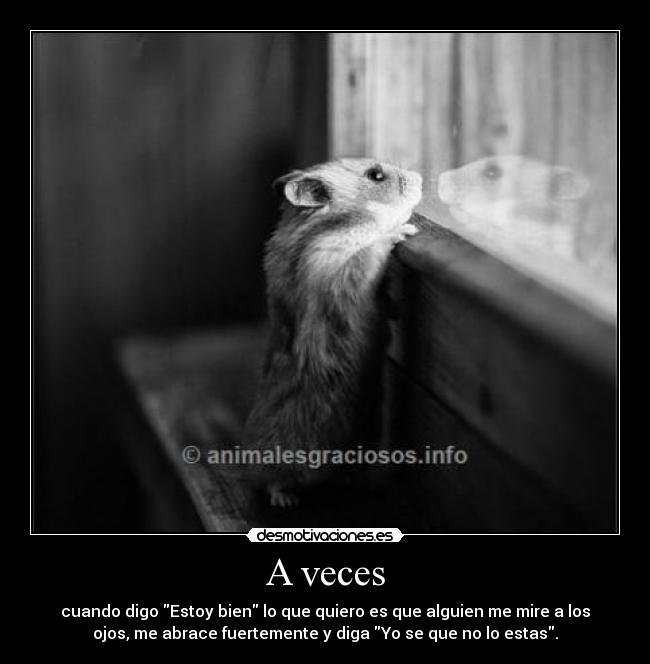 carteles veces desmotivaciones