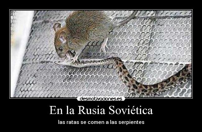 carteles rusia sovietica desmotivaciones