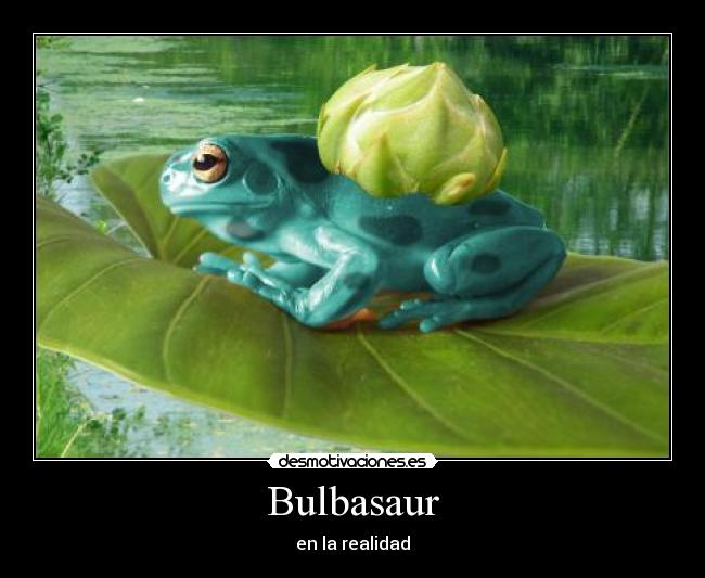 Bulbasaur -