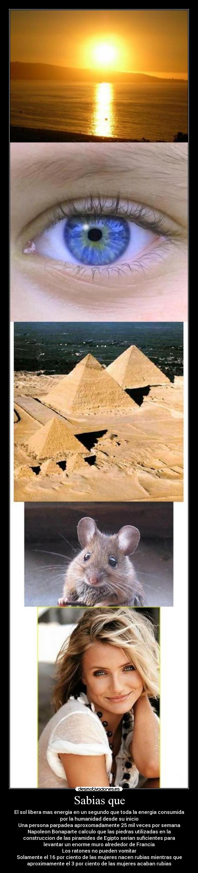 Sabias que - El sol libera mas energia en un segundo que toda la energia consumida
por la humanidad desde su inicio
Una persona parpadea aproxomadamente 25 mil veces por semana
Napoleon Bonaparte calculo que las piedras utilizadas en la
construccion de las piramides de Egipto serian suficientes para
levantar un enorme muro alrededor de Francia
Los ratones no pueden vomitar
Solamente el 16 por ciento de las mujeres nacen rubias mientras que
aproximamente el 3 por ciento de las mujeres acaban rubias