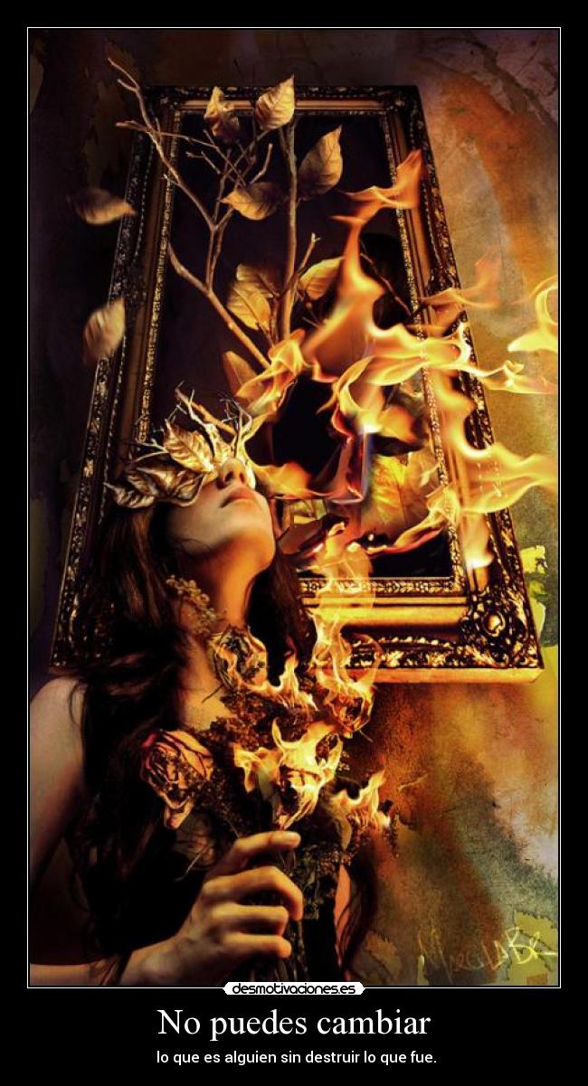 No puedes cambiar - 