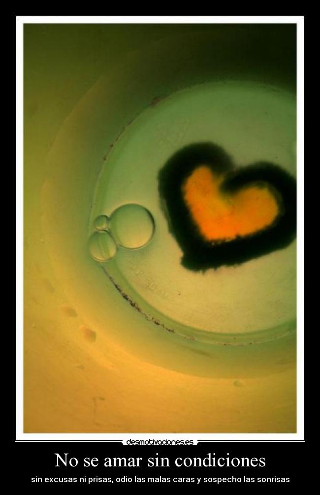 No se amar sin condiciones - sin excusas ni prisas, odio las malas caras y sospecho las sonrisas