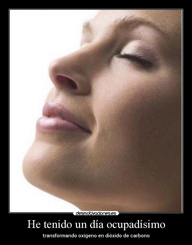 He tenido un día ocupadísimo -