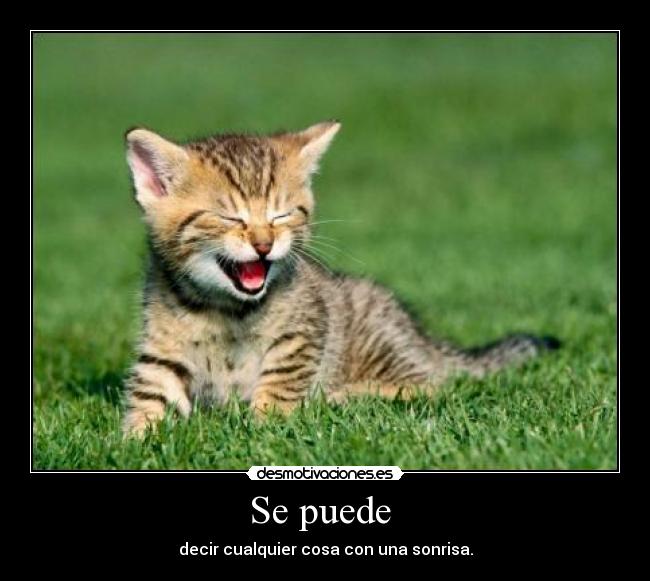 carteles gato sonrisa cosa decir desmotivaciones