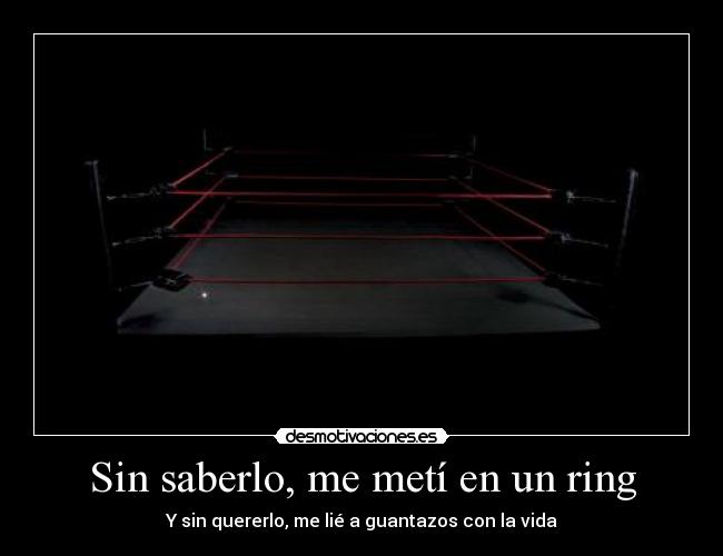 Sin saberlo, me metí en un ring - 