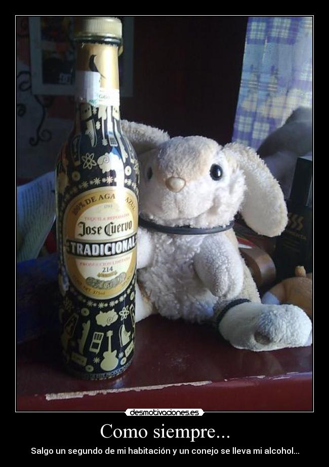 Como siempre... - Salgo un segundo de mi habitación y un conejo se lleva mi alcohol...