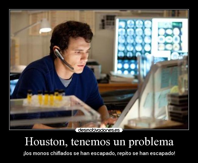 Houston, tenemos un problema - ¡los monos chiflados se han escapado, repito se han escapado!