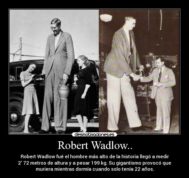 Robert Wadlow.. - 
