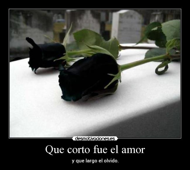 Que corto fue el amor - 