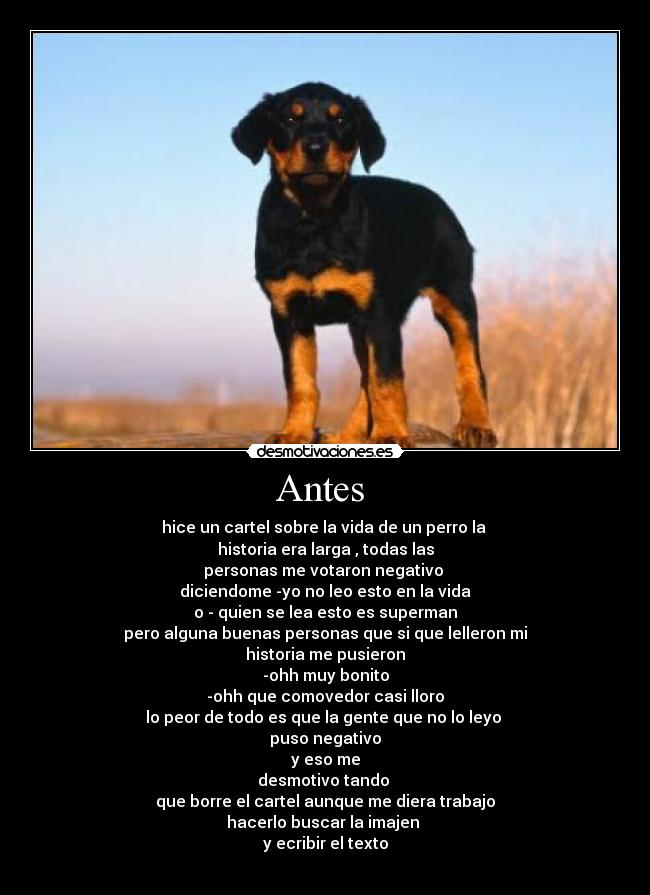 Antes - hice un cartel sobre la vida de un perro la
historia era larga , todas las
personas me votaron negativo
diciendome -yo no leo esto en la vida
o - quien se lea esto es superman
pero alguna buenas personas que si que lelleron mi
historia me pusieron
-ohh muy bonito
-ohh que comovedor casi lloro
lo peor de todo es que la gente que no lo leyo
puso negativo
y eso me
desmotivo tando
que borre el cartel aunque me diera trabajo
hacerlo buscar la imajen
y ecribir el texto