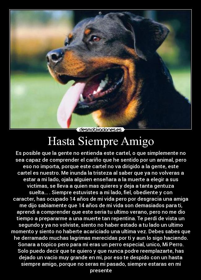 Hasta Siempre Amigo -