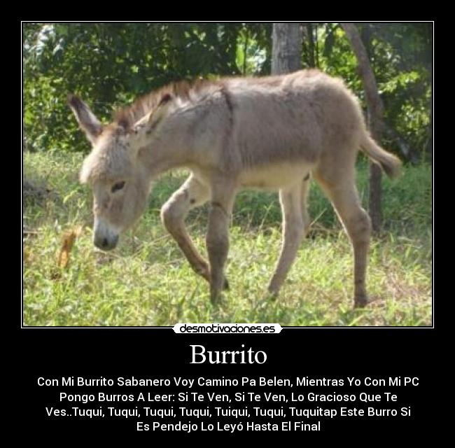 carteles miguel duarte desmotivaciones