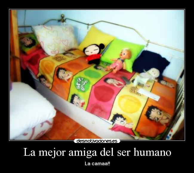 La mejor amiga del ser humano - La camaa!!