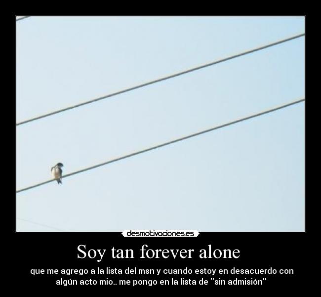 Soy tan forever alone  - 