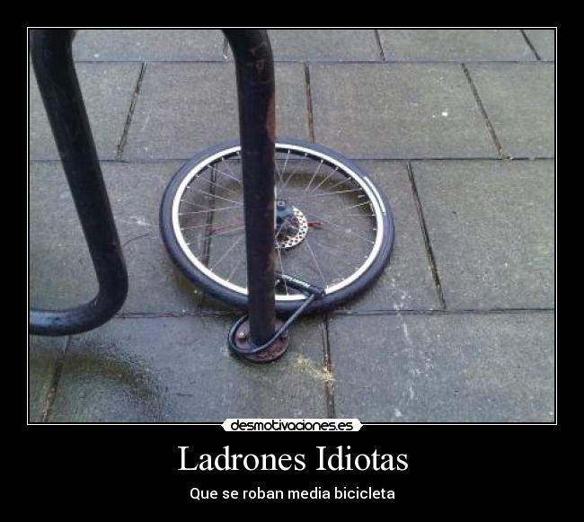 Ladrones Idiotas - 