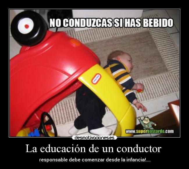 La educación de un conductor  - 