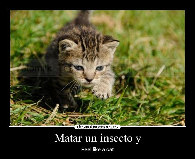 carteles desmotivacioneses desmotivaciones