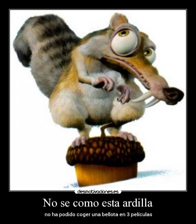 No se como esta ardilla -