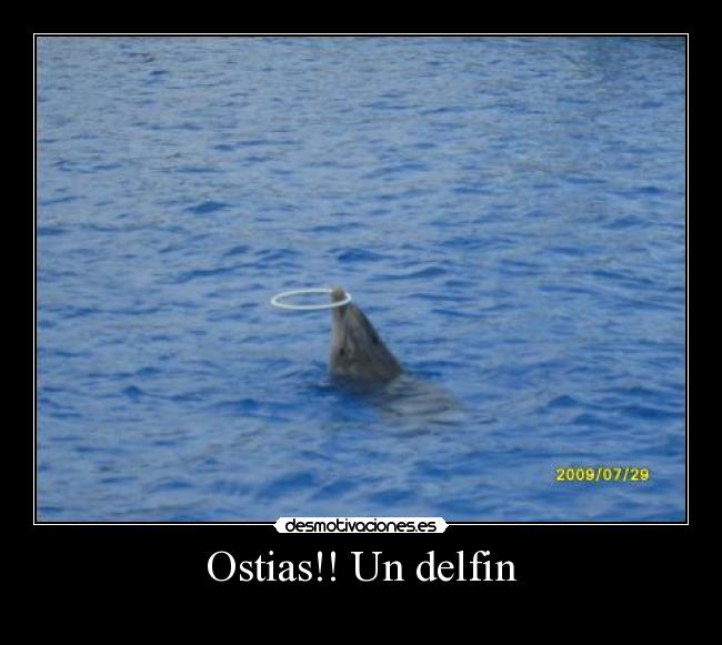 Ostias!! Un delfin - 