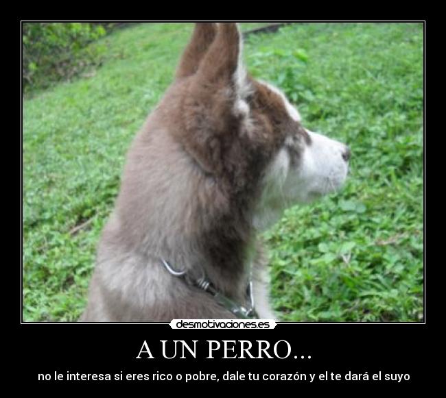 carteles wwwdesmotivacioneses desmotivaciones