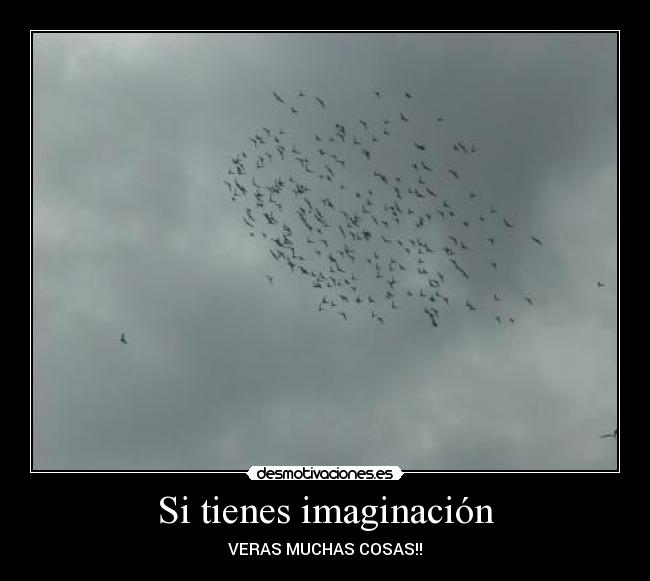 Si tienes imaginación -