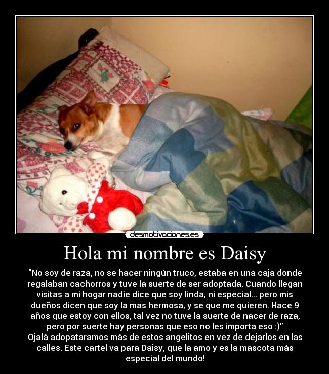 Hola mi nombre es Daisy - 