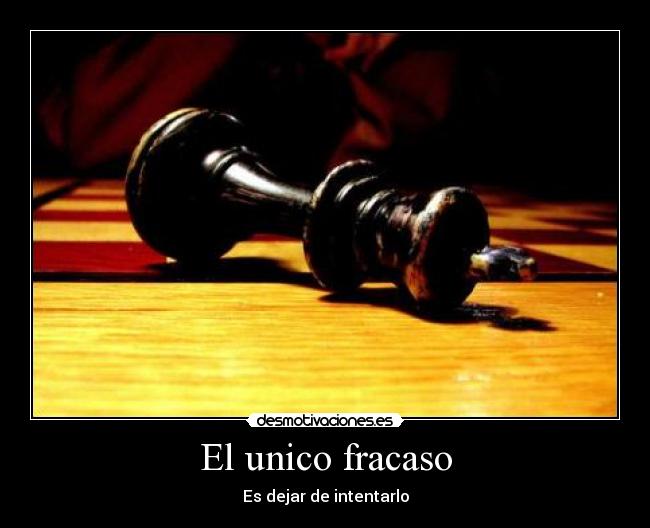 El unico fracaso -
