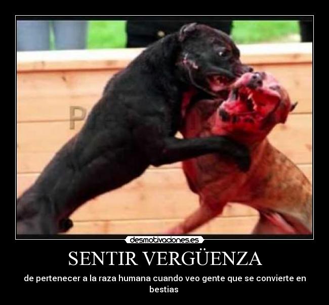 carteles angela173_ desmotivaciones