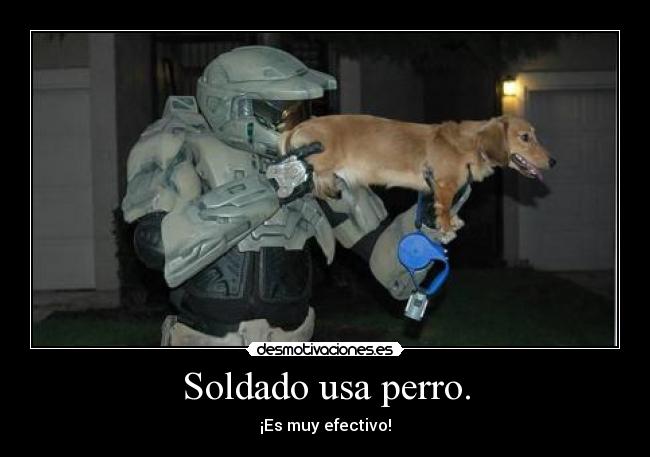 Soldado usa perro. - ¡Es muy efectivo!