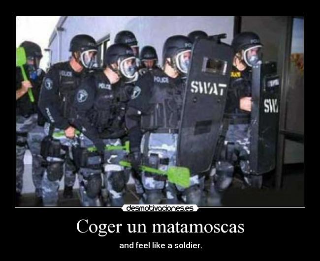 Coger un matamoscas - 