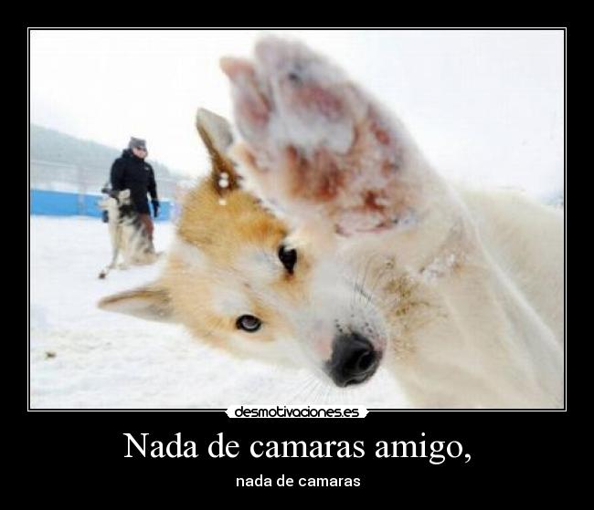 Nada de camaras amigo, -