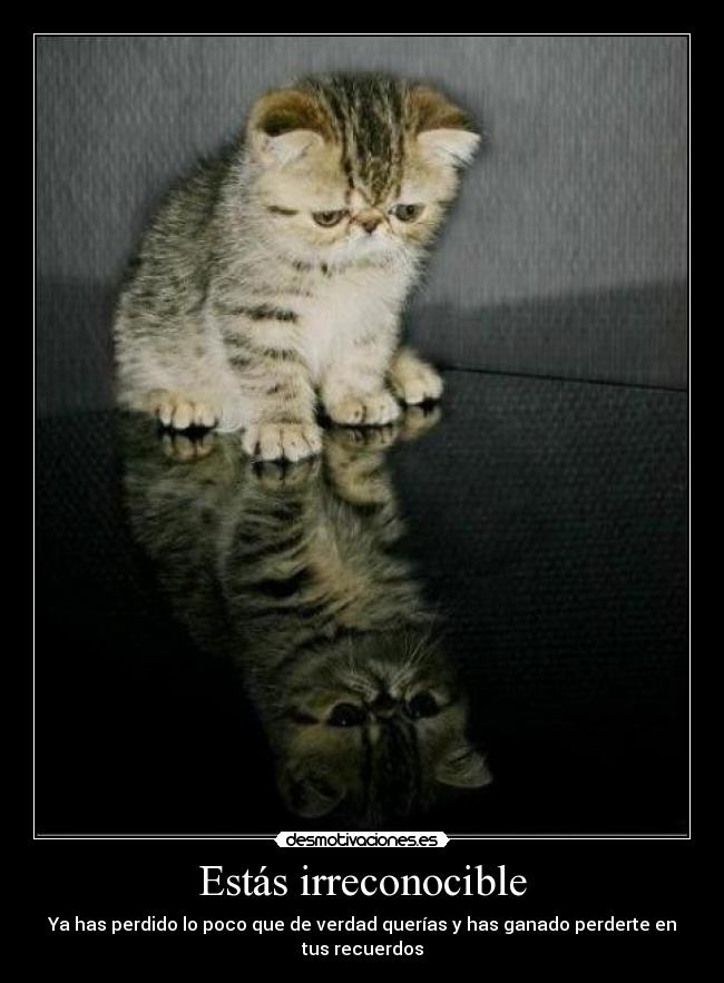Estás irreconocible - Ya has perdido lo poco que de verdad querías y has ganado perderte en tus recuerdos