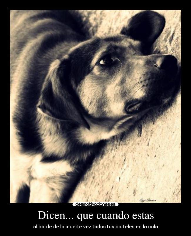 Dicen... que cuando estas - al borde de la muerte vez todos tus carteles en la cola