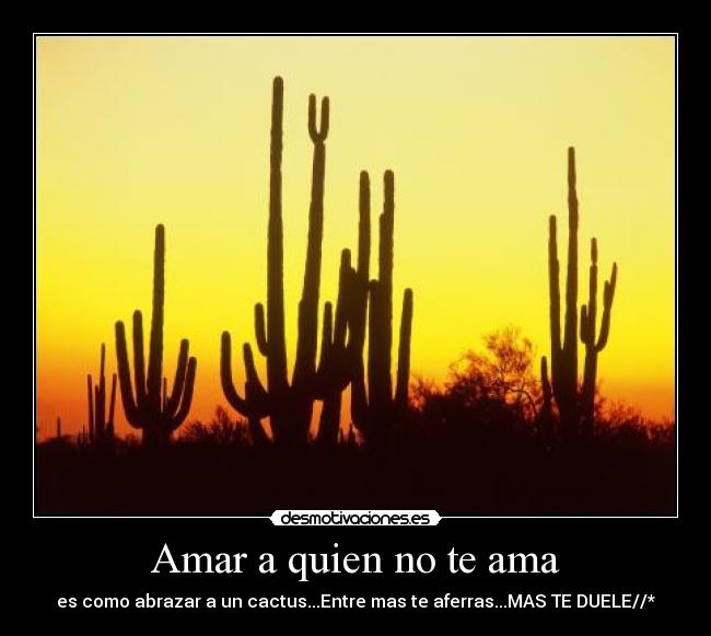 Amar a quien no te ama - 